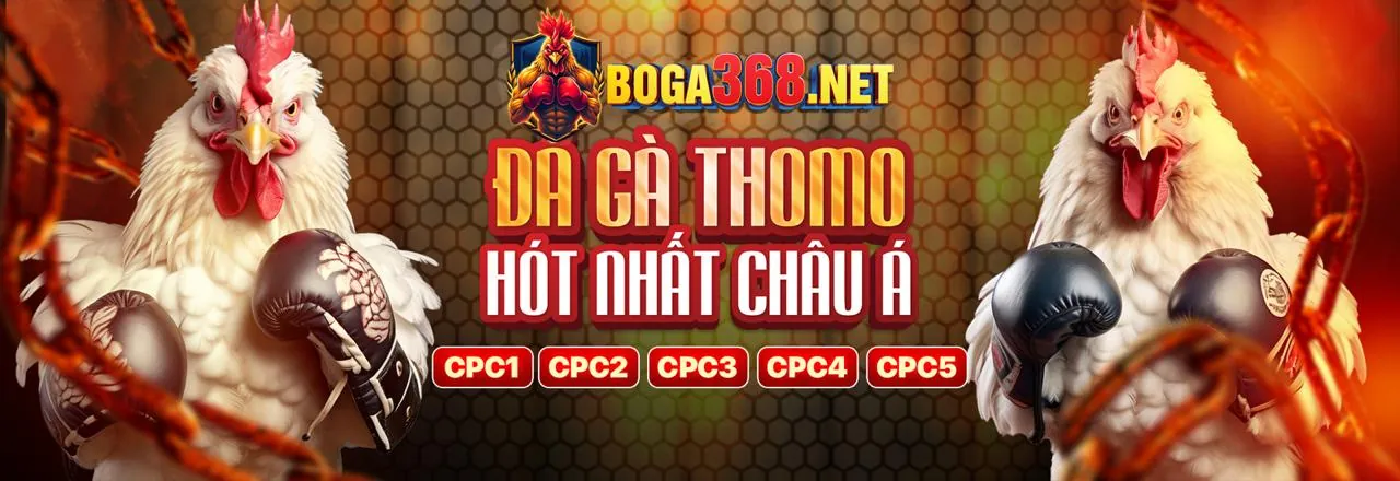 Hướng dẫn chọn nền tảng đá gà trực tuyến an toàn và uy tín